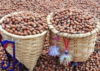 Taban fiyat kesinlikle 150 liradan aşağı olmamalıdır