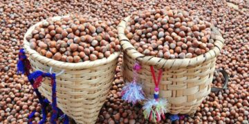 Taban fiyat kesinlikle 150 liradan aşağı olmamalıdır