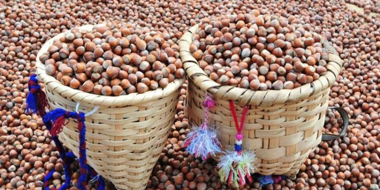 Taban fiyat kesinlikle 150 liradan aşağı olmamalıdır