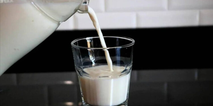 Türkiye'nin dev süt şirketi iflas etti! Fabrika icradan satışa çıktı