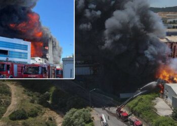 Tuzla'daki yangında üç fabrika yandı, söndürme çalışmaları sürüyor