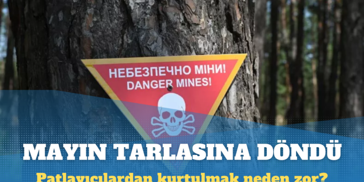 Ukrayna dünyanın en büyük mayın tarlasına döndü: Ülkede patlayıcılardan kurtulmak neden zor?