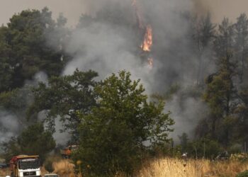 Yunanistan'da orman yangını: Atina yakınlarında yerleşim yerleri tahliye edildi