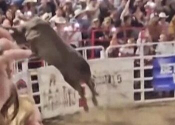 Kızgın boğa seyircilerin arasına daldı, 4 kişi yaralandı