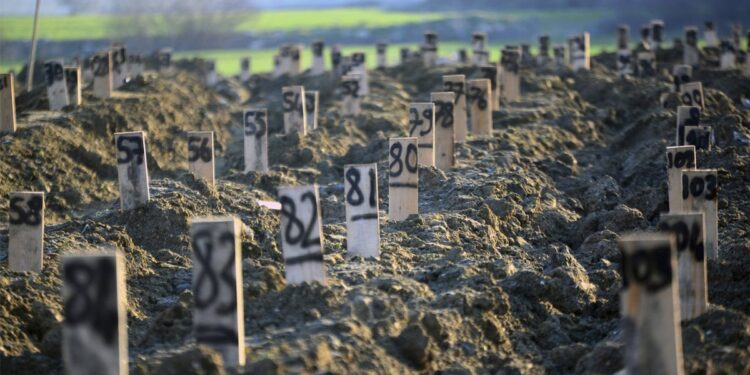 TÜİK ölüm istatistiklerini açıkladı: ‘6 Şubat depremlerinde 45 bin kişi 784 öldü’