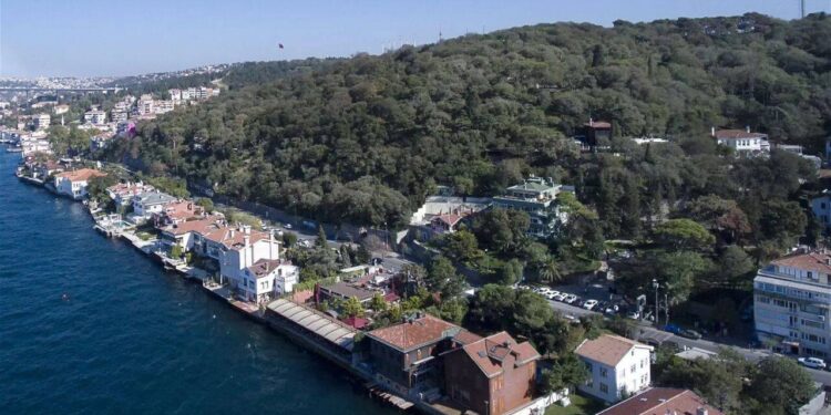 Fethipaşa Korusu’nun bitişiğindeki yeşil alana da göz diktiler