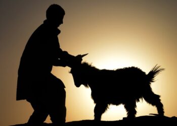 Mümtaz’er Türköne yazdı I İbrahim sünneti veya benim kurban hikâyem