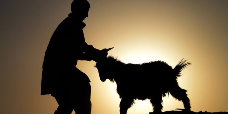 Mümtaz’er Türköne yazdı I İbrahim sünneti veya benim kurban hikâyem