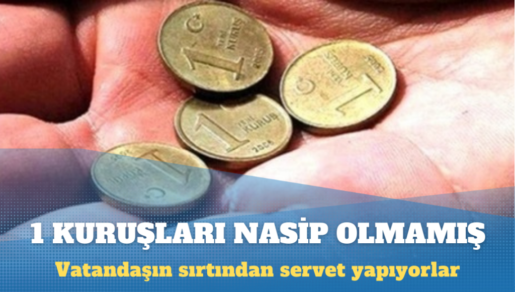 1 kuruşları nasip olmamış: Türkiye’de milyarlar kazanıp vergi ödemeyen şirketler