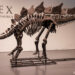150 Milyon Yıl Öncesine Ait: Dinozor İskeleti Rekor Fiyata Satıldı