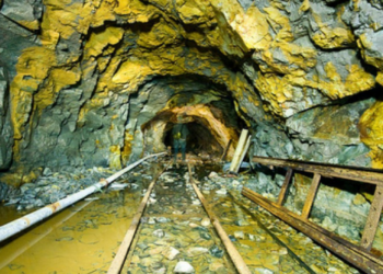 2 Bin 317 Ton Altın Bulundu