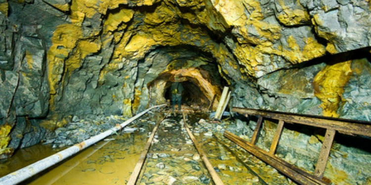 2 Bin 317 Ton Altın Bulundu