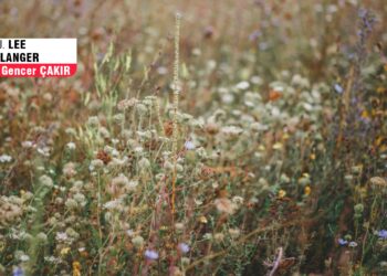 Bitkilerin dilini öğrenmek