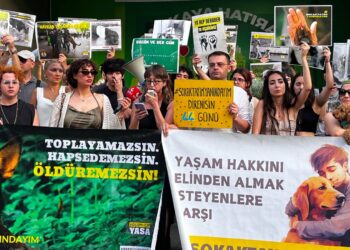 5199 sayılı hayvanları koruma kanununu hala yürürlükte; kısırlaştırın, aşılatın, yerinde yaşatın