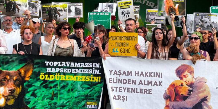 5199 sayılı hayvanları koruma kanununu hala yürürlükte; kısırlaştırın, aşılatın, yerinde yaşatın