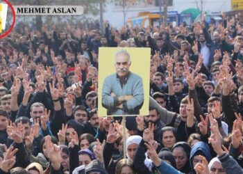 Av. Erol: Tecride karşı mücadele çözümde ısrar mücadelesidir