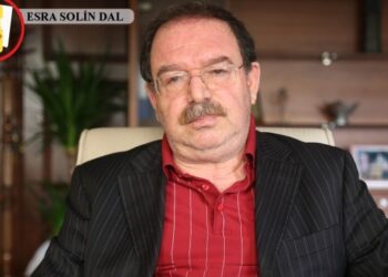 Hatip Dicle: Çözüm 1921 Anayasası’nın güncellenmesi