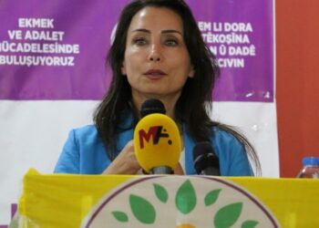 Hatimoğulları: Barış ve adalet için il il, ilçe ilçe gezeceğiz
