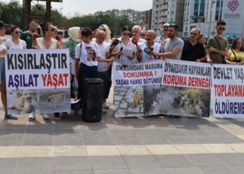 Hayvanları ‘öldürme’ yasa teklifine tepki | YENİLENDİ