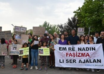 Hayvanları öldürme yasasına tepki: Aklınızdan bile geçirmeyin!