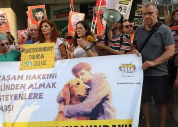 Uyutma yasasına tepki: Katil olmayı reddedin