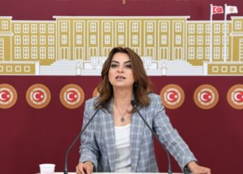 Koçyiğit: Ülkede tarihin en büyük yoksulluğu yaşanıyor