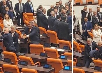DEM Partili Bozan’a Meclis’te yumruklu saldırı