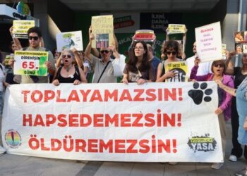 Hayvan hakları aktivistlerinden milletvekillerine çağrı