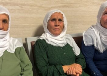 Bilêxşê’de 3’ü anne 9 kişi tutuklandı