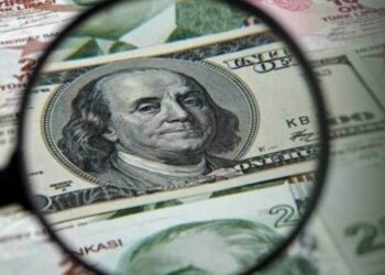 Merkez Bankası’nın dolar tahmini