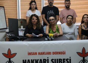 ‘Kayyım Türkiye halklarının iradesini gasp etme girişimidir’