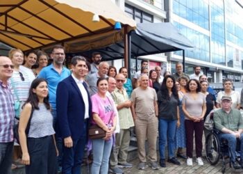 DEM Parti MYK üyesi Birol cezaevine götürüldü