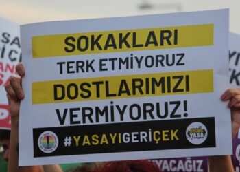 ‘Öldürme’ yasası protesto edildi: AKP elini hayvanlardan çek
