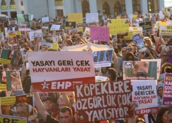 Binlerce kişi Kadıköy’den seslendi: Katliam yasasını kabul etmiyoruz