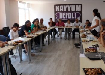 Tekçe’nin temasları sürüyor: Kayyım sadece Hakkari’nin sorunu değil