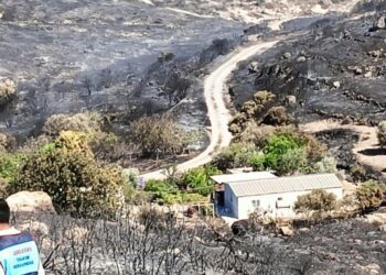 İzmir’de orman yangını: 3 kişi yaşamını yitirdi