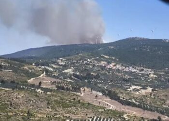 Ege’de 3 bölgede orman yangini