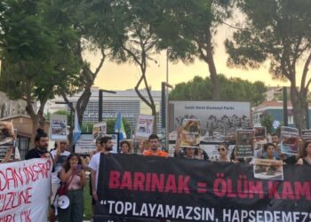 Hayvanlar için çağrı: Nöbetler başlatın