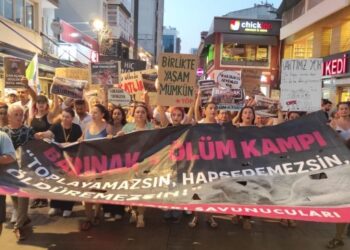 Hayvan hakları savunucularından muhalefete çağrı
