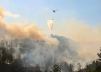 İzmir’in dört bir yanında orman yangını