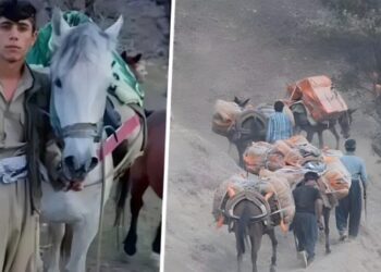Serdeşt’te 1 kolber katledildi