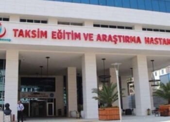 Taksim Eğitim ve Araştırma Hastanesi’nde sivrisinek sorunu