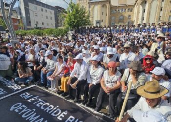Bayındır: Bu dağlar şahit olsun ki direnmeye devam edeceğiz