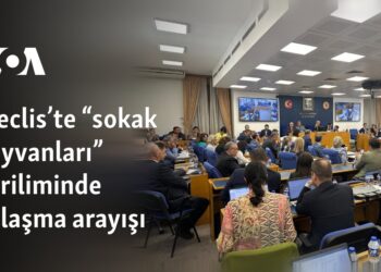 Meclis’te “sokak hayvanları” geriliminde uzlaşma arayışı