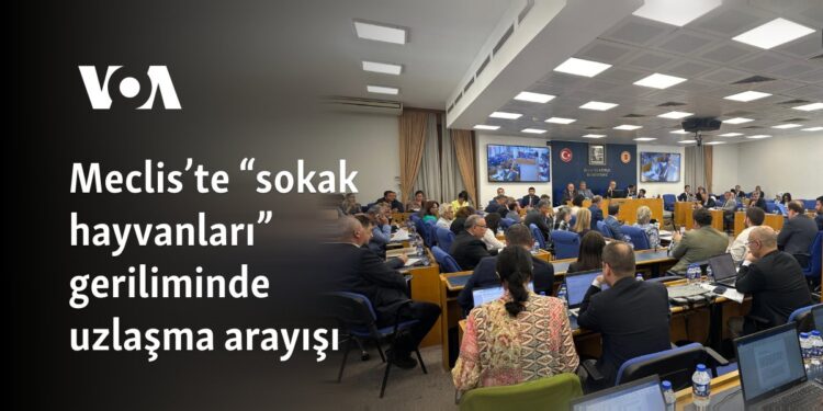 Meclis’te “sokak hayvanları” geriliminde uzlaşma arayışı