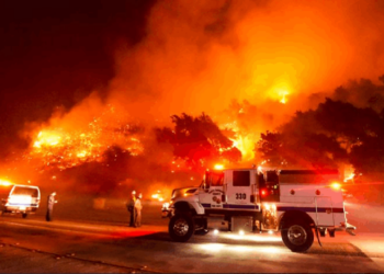 ABD'de 350 Bin Dönümlük Alan Kül Oldu