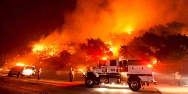 ABD'de 350 Bin Dönümlük Alan Kül Oldu