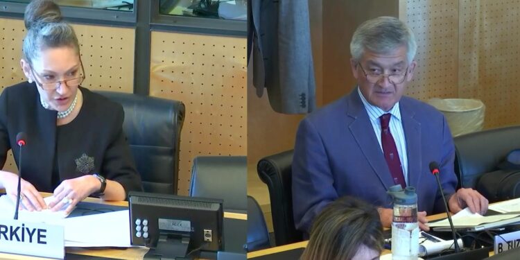 Adam kaçırmalara destek veren eski büyükelçi çıplak aramayı savundu, BM raportörü tepki gösterdi