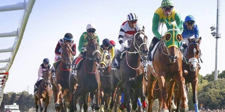 At yarışçılığının derbisi; Atatürk adına 98’incisi düzenlenen Gazi Koşusu, bugün Veliefendi’de yapılacak