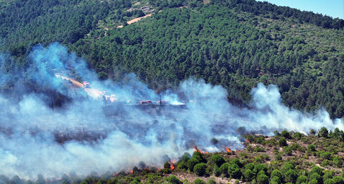 Aydos Ormanı’ndaki yangın 3 saatte kontrol altına alındı
